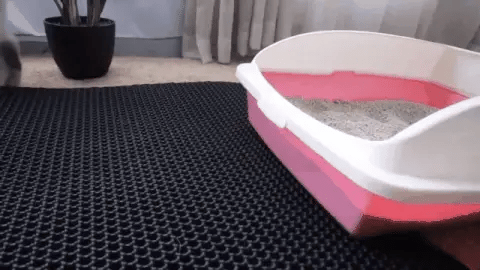 Qaoso Cat Litter Mat - Keeps cat litter in the litter box