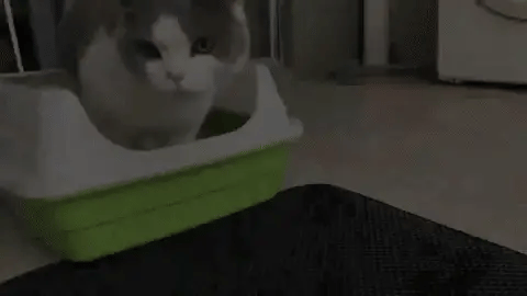 Qaoso Cat Litter Mat - Keeps cat litter in the litter box